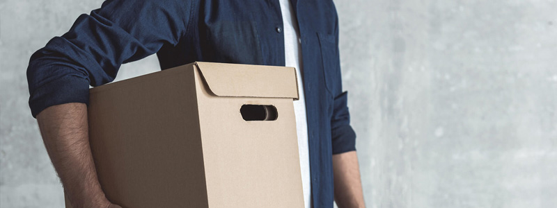 Development & delivery